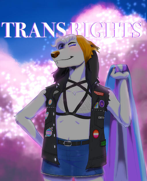 Trans Rights illustration